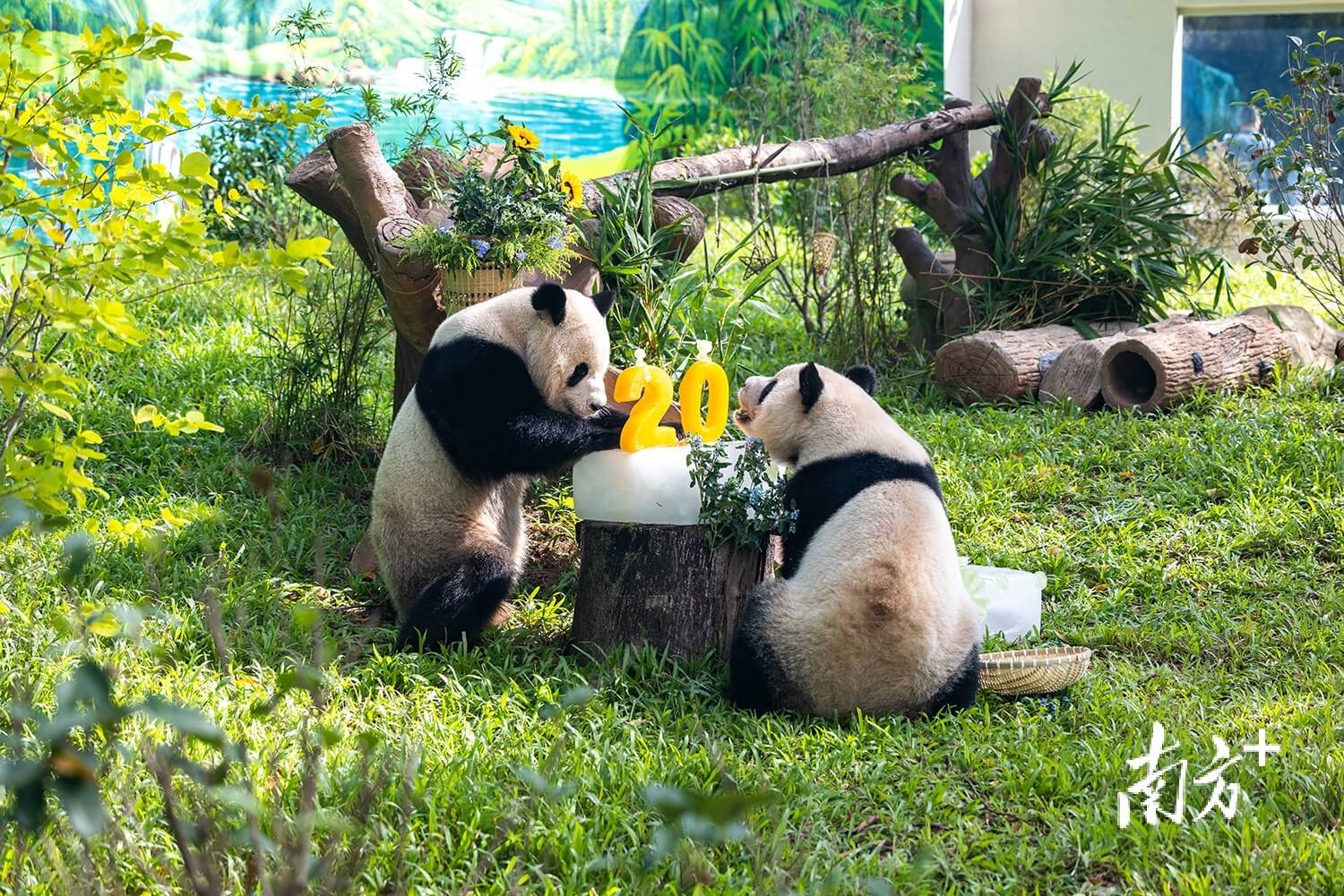 |南方日报、南方+2025年度照片不朽情缘试玩网站光影为纪心映万象(图26) |南方日报、南方+2025年度照片不朽情缘试玩网站光影为纪心映万象(图26)