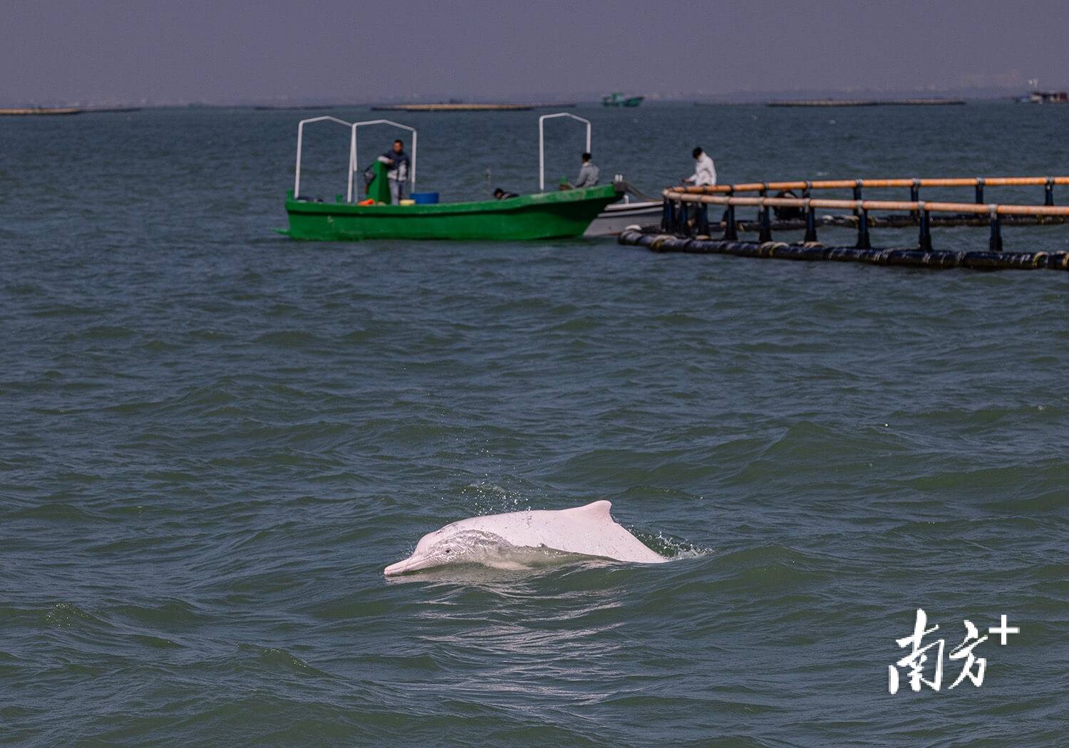 |南方日报、南方+2025年度照片不朽情缘试玩网站光影为纪心映万象(图29) |南方日报、南方+2025年度照片不朽情缘试玩网站光影为纪心映万象(图29)