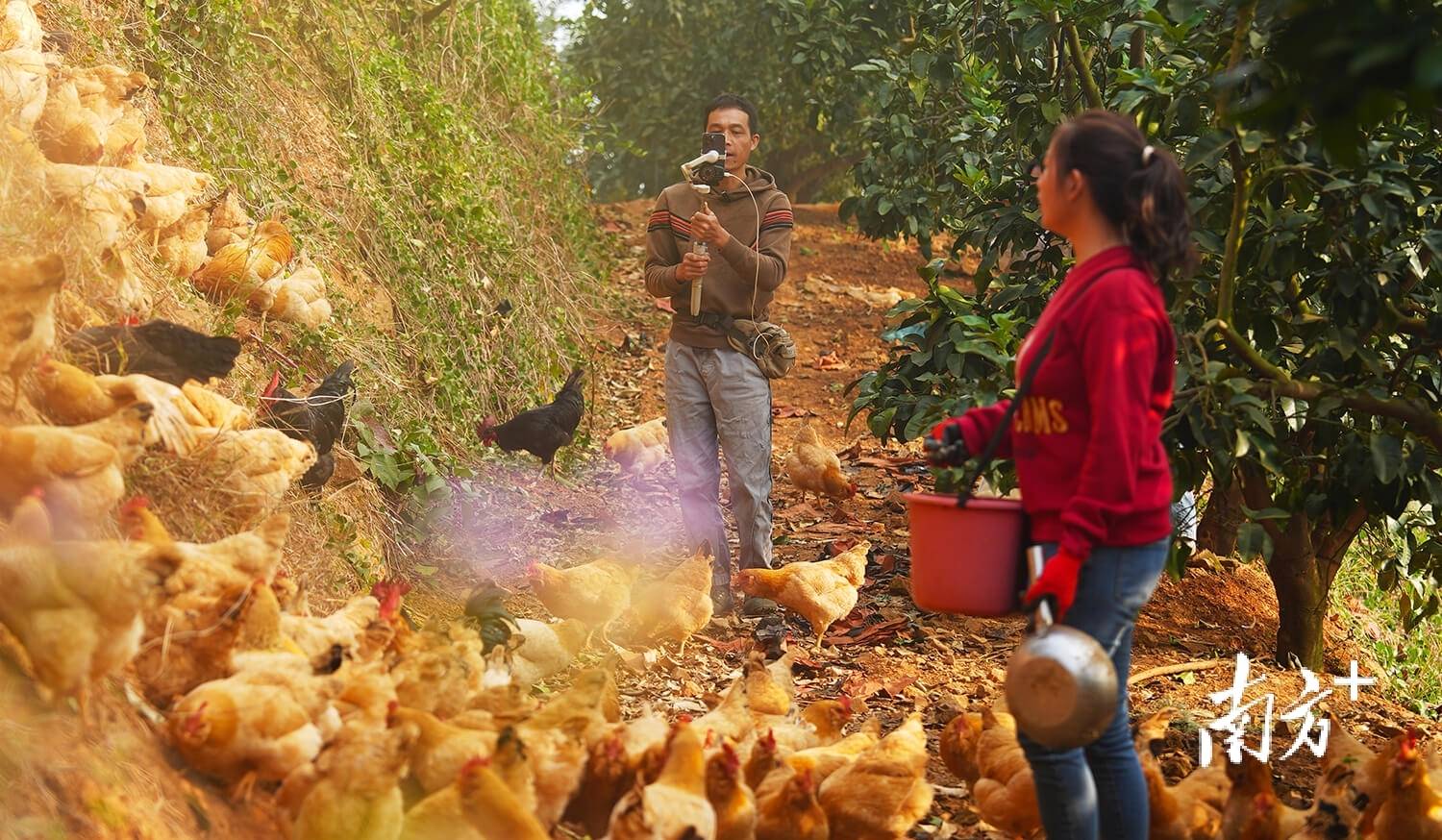 |南方日报、南方+2025年度照片不朽情缘试玩网站光影为纪心映万象(图31) |南方日报、南方+2025年度照片不朽情缘试玩网站光影为纪心映万象(图31)