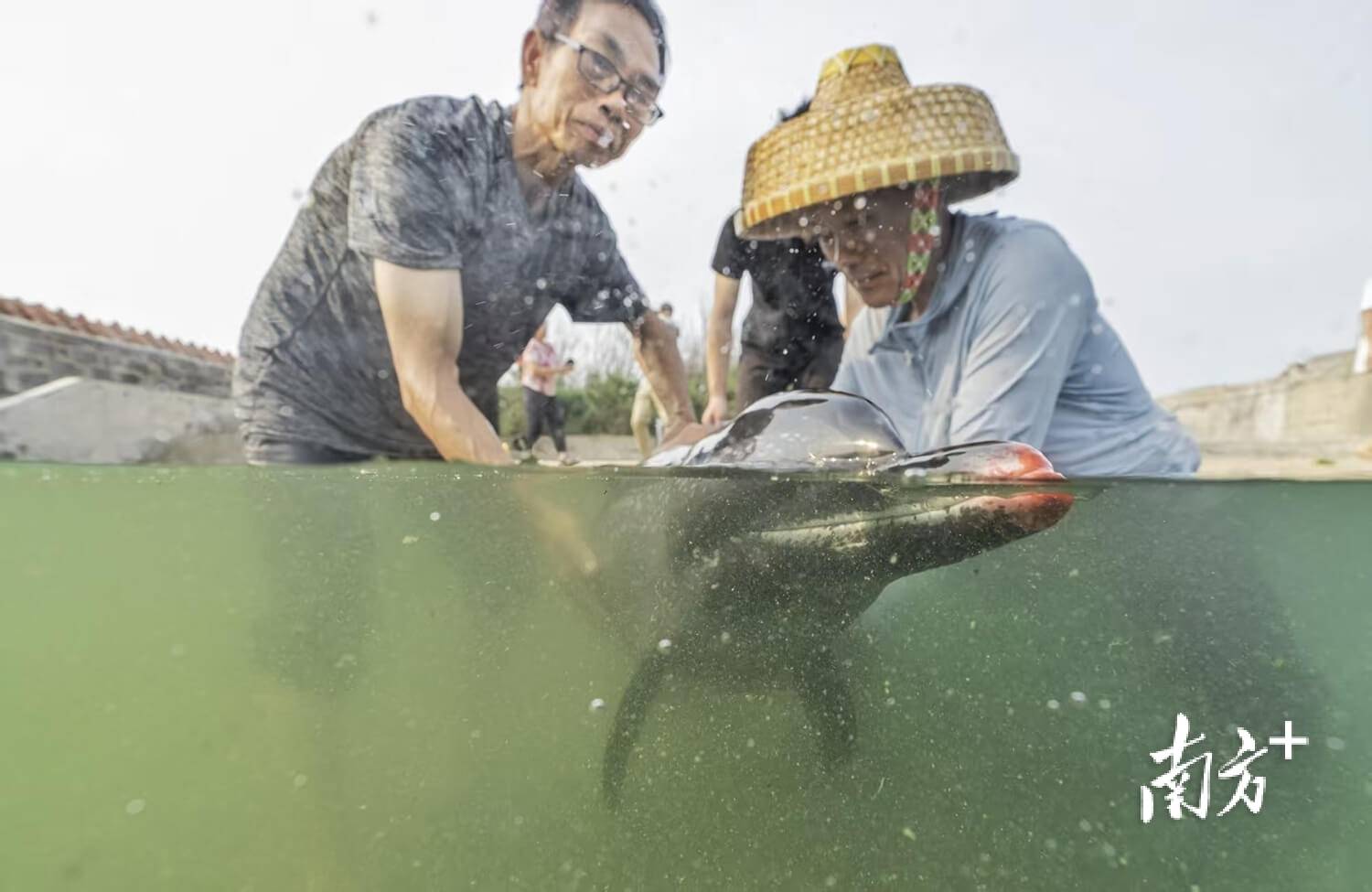 |南方日报、南方+2025年度照片不朽情缘试玩网站光影为纪心映万象(图50) |南方日报、南方+2025年度照片不朽情缘试玩网站光影为纪心映万象(图50)
