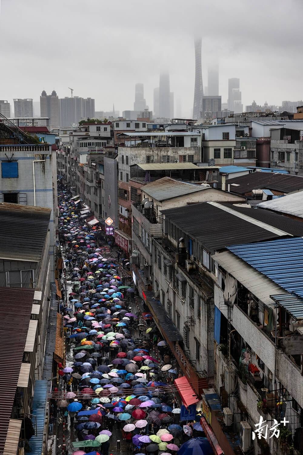 |南方日报、南方+2025年度照片不朽情缘试玩网站光影为纪心映万象(图69) |南方日报、南方+2025年度照片不朽情缘试玩网站光影为纪心映万象(图69)